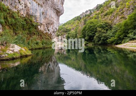 Gelassenheit in den Gorges du Tarn, Lozere, Frankreich Stockfoto