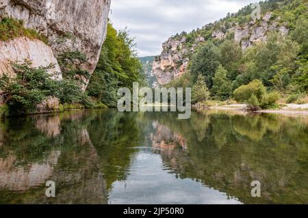 Reflexion in den schönen Gorges du Tarn, Lozere, Frankreich