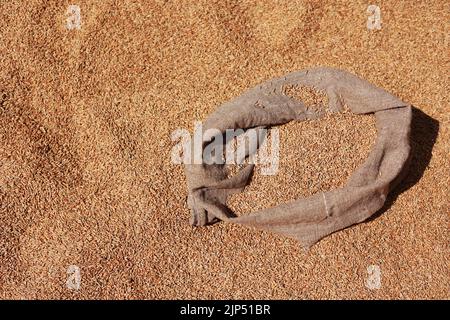 goldene Vollkörner in Jute-Sack auf Weizenkörner hinten. Getreideernte. Zutat für die Brotherstellung. Landwirtschaft, Landwirtschaft, Wohlstand, Ernte Stockfoto