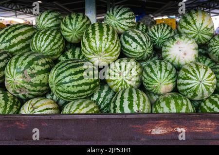 Wassermelonen werden zum Verkauf auf dem Bauernmarkt gestapelt. Nahaufnahme und selektiver Fokus. Stockfoto