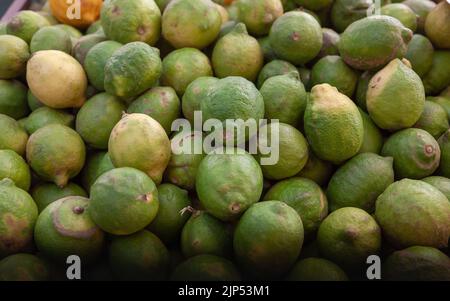 Gruppe der grünen Zitronen. Nahaufnahme von frischen grünen Zitronen auf einem Bauernmarkt. Selektiver Fokus. August. Stockfoto