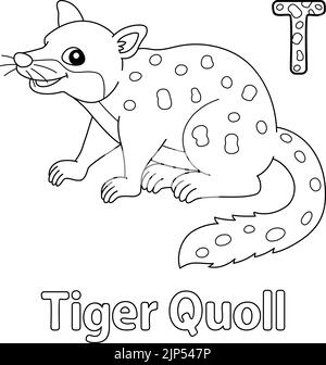 Tiger Quoll Alphabet ABC Malseite T Stock Vektor