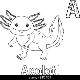 Axolotl Alphabet ABC Färbung Seite A Stock Vektor