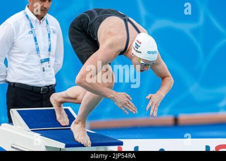 ROM, ITALIEN - 15. AUGUST: Valerie van Roon aus den Niederlanden während der Frauen-Kür 50m beim European Aquatics Roma 2022 im Stadio del Nuoto am 15. August 2022 in Rom, Italien (Foto von Nikola Krstic/Orange Picters) NOCNSF Stockfoto