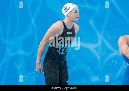 ROM, ITALIEN - 15. AUGUST: Valerie van Roon aus den Niederlanden während der Frauen-Kür 50m beim European Aquatics Roma 2022 im Stadio del Nuoto am 15. August 2022 in Rom, Italien (Foto von Nikola Krstic/Orange Picters) NOCNSF Stockfoto