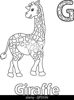 Giraffe Alphabet ABC Malvorlagen Seite G Stock Vektor