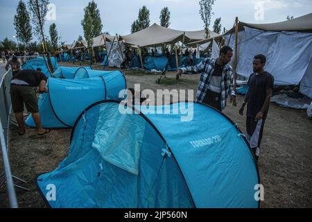 2022-08-15 21:21:40 TER APEL - Eine Gruppe von Unternehmern aus der Provinz Groningen verteilte am Montagabend etwa zweihundert Zelte an wartende Asylbewerber im Antragszentrum. Das Geld für die Pop-up-Zelte wurde durch eine Crowdfunding-Kampagne gesammelt. Die Zentralstelle für die Aufnahme von Asylsuchenden (COA) geht davon aus, dass wegen der Menschenmassen rund 150 Menschen im Anwendungszentrum in Ter Apel draußen schlafen müssen. ANP VINCENT JANNINK niederlande Out - belgien Out Stockfoto