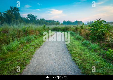 Sonnenaufgang - Beckley Creek Park Walking Path - Louisville, Kentucky Stockfoto