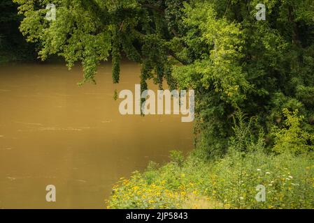 Green River im Mammoth Cave National Park in der Nähe von Vehicle Ferry Crossing - Kentucky Stockfoto