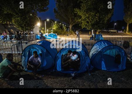 2022-08-15 21:45:08 TER APEL - Eine Gruppe von Unternehmern aus der Provinz Groningen verteilte am Montagabend etwa zweihundert Zelte an wartende Asylbewerber im Antragszentrum. Das Geld für die Pop-up-Zelte wurde durch eine Crowdfunding-Kampagne gesammelt. Die Zentralstelle für die Aufnahme von Asylsuchenden (COA) geht davon aus, dass wegen der Menschenmassen rund 150 Menschen im Anwendungszentrum in Ter Apel draußen schlafen müssen. ANP VINCENT JANNINK niederlande Out - belgien Out Stockfoto