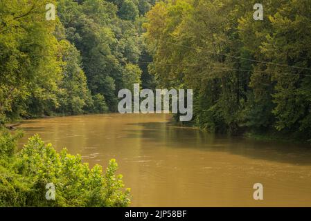 Green River im Mammoth Cave National Park in der Nähe von Vehicle Ferry Crossing - Kentucky Stockfoto