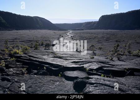 Kilauea Iki Krater Wanderweg, Hawaii Volcanoes National Park Stockfoto