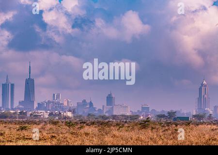Nairobi City County Nationalpark Vögel Tiere Wildtiere Savanne Grasland Landschaften Panoramablick malerische Ausblicke magische Kenia Ostafrika Discovery Exp Stockfoto