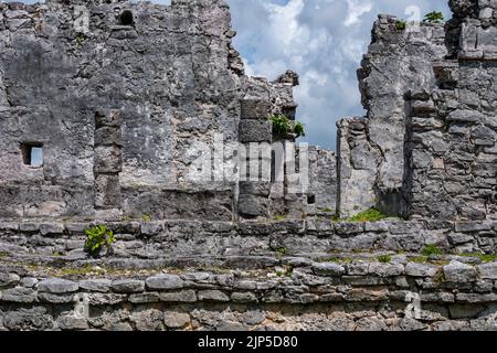 Uralte Maya-Ruinen in der Archäologischen Zone von Tulum in Tulum, Quintana Roo, Mexiko. Stockfoto