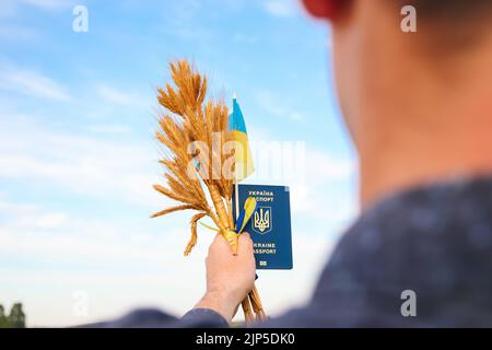 Unschärfe junger Mann mit ukrainischem Pass, Fahne und Weizenspikes von Weizen gebunden und Flagge auf dem blauen Himmel Hintergrund. Flagge Ukraine. Freiheit Stockfoto