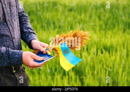 Unschärfe jungen Mann mit ukrainischen Pass, Flagge und Weizenspikes von Weizen gebunden und Flagge auf der Wiese Natur Hintergrund. Flagge Ukraine. Freiheit Stockfoto