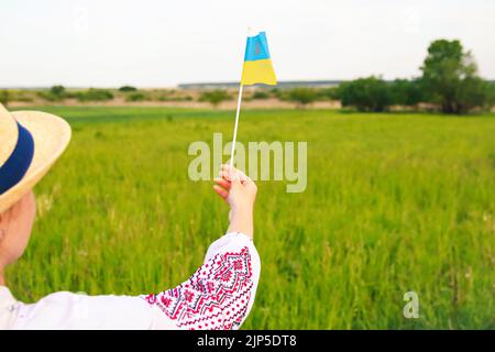 Defocus junge Frau in vyschywanka und Hut hält ukrainische Flagge von Weizen gebunden und Flagge auf der Wiese Natur Hintergrund. Flagge Ukraine. Freiheit. Zurück Stockfoto