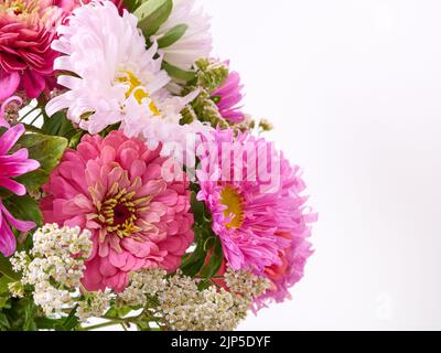 Ein Strauß von hellen Blumen auf einem hellen Hintergrund. Stockfoto