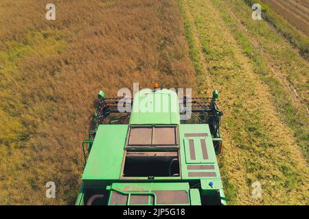 Draufsicht auf einen grünen Mähdrescher mit einer drehbaren Walze, der an einem warmen, sonnigen Tag in einem großen Getreidefeld in einem ländlichen Gebiet ernten kann. Hochwertige Fotos Stockfoto