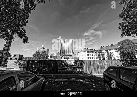 Linden Hannover im Schwarz Weiß Stockfoto