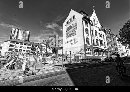 Linden Hannover im Schwarz Weiß Stockfoto