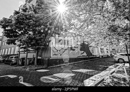 Linden Hannover im Schwarz Weiß Stockfoto