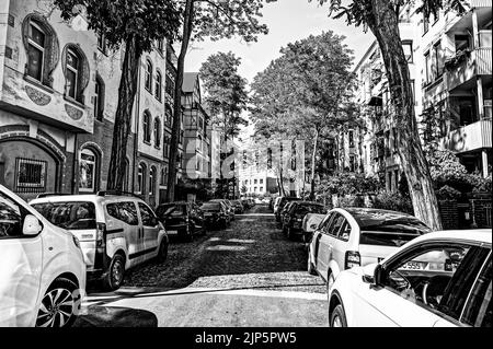 Linden Hannover im Schwarz Weiß Stockfoto