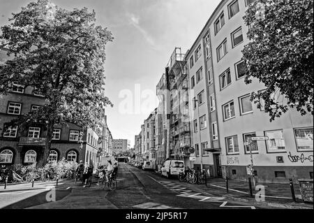 Linden Hannover im Schwarz Weiß Stockfoto