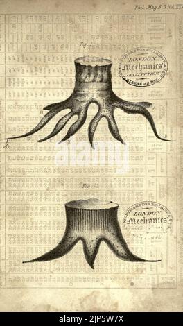 Die philosophische Zeitschrift und Zeitschrift der Wissenschaft in London, Edinburgh und Dublin Stockfoto