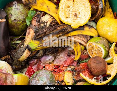 Speisereste aus biologischem Anbau - Obst- und Gemüseschälungen Stockfoto
