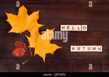 Hallo Herbst. Die Inschrift aus Holzbuchstaben und gefallenen Blättern auf dunklem Grund. Stockfoto