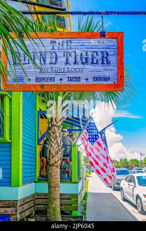 Der blinde Tiger ist am 13. August 2022 in Bay Saint Louis, Mississippi, abgebildet. Stockfoto