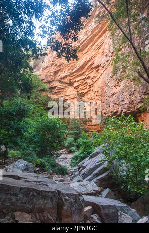 Sandsteinfelsen der Emma Gorge, Gibb River Road, East Kimberley Stockfoto