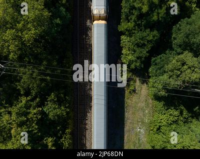 Eine direkte Luftaufnahme eines Autorack-Güterzugwagens über dem Kopf während der Fahrt durch einen Wald. Stockfoto