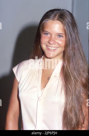 Connie Needham um die 1980er Jahre Credit: Ralph Dominguez/MediaPunch Stockfoto