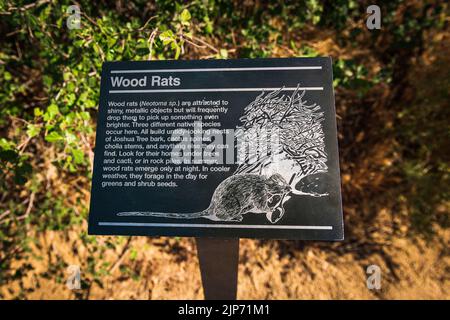 Holzrat-Auslegungsschild, Joshua Tree National Park, Kalifornien, USA Stockfoto