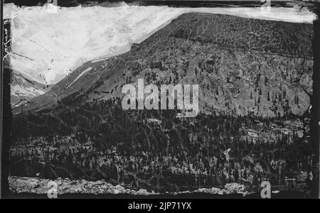 Der Norden oder rechten Wand der Buckskin Gulch, Mosquito Range. Park County, Colorado. Stockfoto