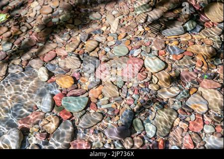 Mehrfarbige Regenbogensteine in Avalanche Creek, die in Richtung Lake McDonald im Glacier National Park, Montana, USA, führen Stockfoto