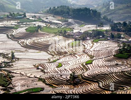 Schöne Aussicht auf die bewässerten Reisterrassen in Y Ty, Lao Cai, Vietnam Stockfoto