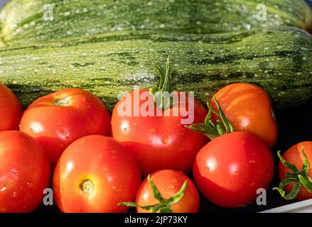 „Alicante“-Tomate, Tomate (Solanum lycopersicum) Stockfoto