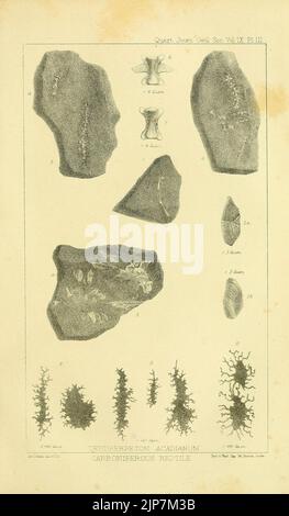 Die Zeitschrift der Geological Society of London (12511778425) Stockfoto
