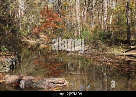 Herbstlandschaft am Bach - Glen Helen Nature Preserve, Ohio Stockfoto