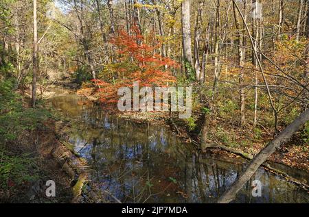 Romantische Aussicht - Glen Helen Nature Preserve, Ohio Stockfoto