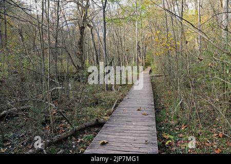 Die Promenade im Naturschutzgebiet - Glen Helen Nature Preserve, Ohio Stockfoto