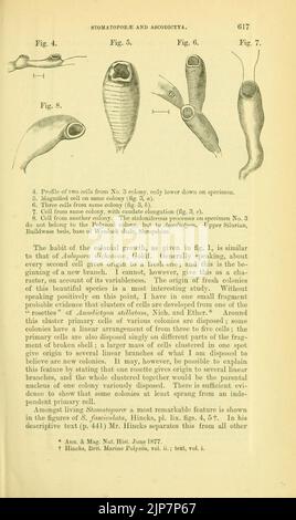 Die Zeitschrift der Geological Society of London (12825708515) Stockfoto
