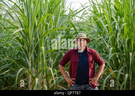 Thailändischer Jungzüchter Zuckerrohr Porträt in der Plantage Stockfoto