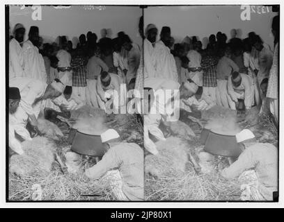 Der Samariter Ostern am Mt. Garizim. Das Opfer. Stockfoto