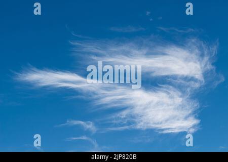 Wunderschöne dünne Cirrus-Wolken. Weiße Spindrift-Wolken in Form eines Engels am blauen Himmel. Hintergrund. Landschaft. Niemand, Platz für Text kopieren Stockfoto