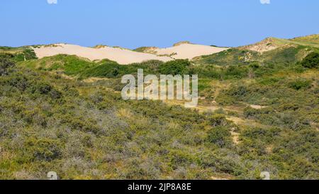 Dunes De La Slack (Frankreich) an einem sonnigen Sommertag Stockfoto