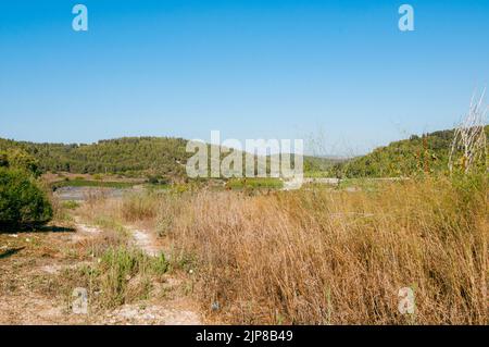 Bat Shlomo (gegründet 1889) ist ein Moshav im Norden Israels. Die Villa liegt an den Südhängen des Berges Carmel in der Nähe von Binyamina und Zikhron Ya'akov Stockfoto